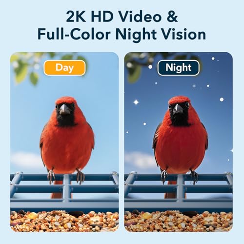 PeckCam® Bird Feeder with Camera Solar Powered 2K Live Video Auto Capture | AI Bird Species Identification, Instant App Alert, IP65 Waterproof, Easy Setup, Backyard Bird-Watching, Gift for Bird Lovers - color: Blue