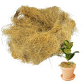 Coconut Husk Fiber 0.11 Pounds Organic Natural Coconut Shell Fiber Silk for Pot Plants Orchids Various Scenarios - size: 50 grams/0.11 pounds