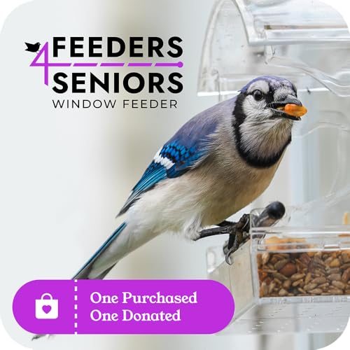 Window Bird Feeder with Strong Suction, Removable Tray & Clear Modern Design