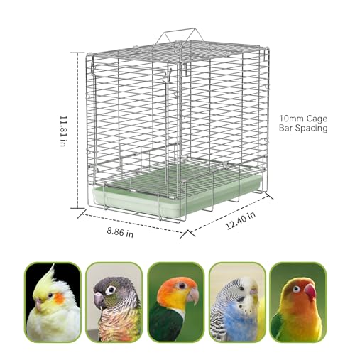 Bird Carrier Travel Cage - 304 Stainless Steel Portable Folding Bird Travel Cage with Parrot Feeder Cups & Standing Perch for Smaller Birds Conures Lovebird Cockatiel Parakeets (Green) | Easy install, includes carry bag. Rustproof, chew-safe, folds flat.