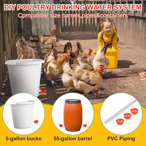 Tanlade 50 Packs Chicken Waterer Cups Large Chicken Feeder, Automatic Waterer Cups Kit for Poultry Chicks Duck Goose Turkey Bunny(Orange) - color: Orange