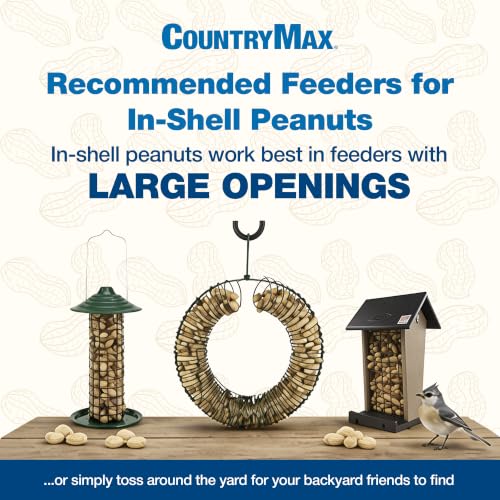 CountryMax Backyard Seeds 50 Pounds Peanuts in Shell - size: 50 Pound (Pack of 1), style: Raw In-Shell