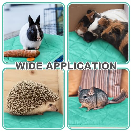 4 Pack Self Heating Cat Pad Self Warming Dog Mat Reflects Body Heat Extra Warm Thermal Pet Pad Washable Dog Cat Bed Crate Bed Mat Blanket (16 x 20 Inch,Mint Blue) - color: Mint Blue, size: 16 x 20 Inch