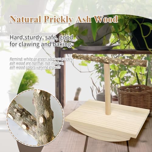 Natural Wood Bird Perch Stand, Rocking Perch for Bird Stand Swing(Large) | Intelligence Puzzle Training Wood Parrot Tumbler Toy,Playstand Birds Accessories for Parakeets,Cockatiels,Budgies,Conures - size: Large
