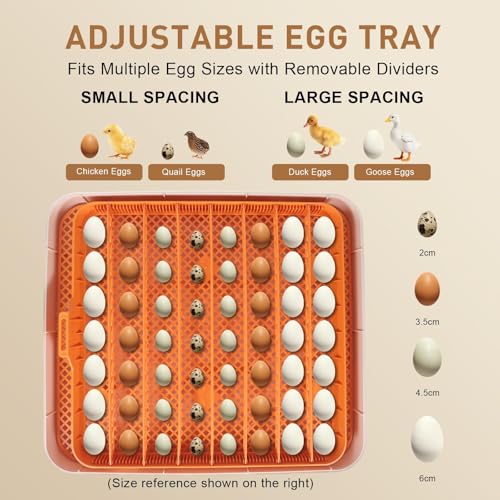 Gen IV – 56 Egg Fullly Automatic Incubator, 2026 Upgraded Design, Intelligent Sensor-Based Humidity & Temp Control, Chick Separator, Custom Days, Adjustable Auto Turning & Stop, Flexible Egg Spacing - size: 56 egg-orange