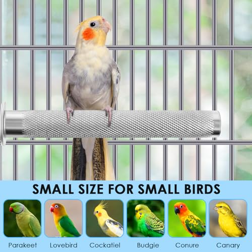 KATUMO Bird Perch - Stainless Steel - Rough Surface Stand for Small to Medium Parrots (9.8 x 1.0 inch) - size: M: 9.8 x 1 inch