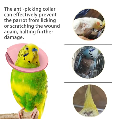 4 Pcs Bird Cone Collar, Pet Parrot Anti-bite Elizabethan Collars, Bird Collars for Feather Plucking for Lovebird Budgerigar Cockatiel Cockatoo Parrots (Mix Colors)