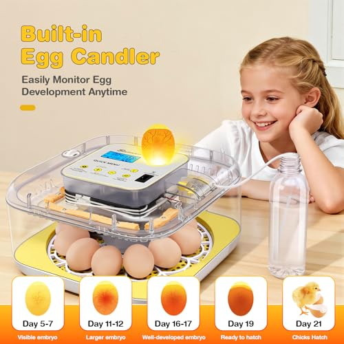 Sailnovo 12 Egg Incubators for Hatching Egg with Auto Humidification | Temperature Control, Automatic Egg Turning,Egg Candler,Incubator for Chicken Duck Quail Eggs,Ideal for Farm, School - color: Grey-White-Yellow, size: Hatch 12