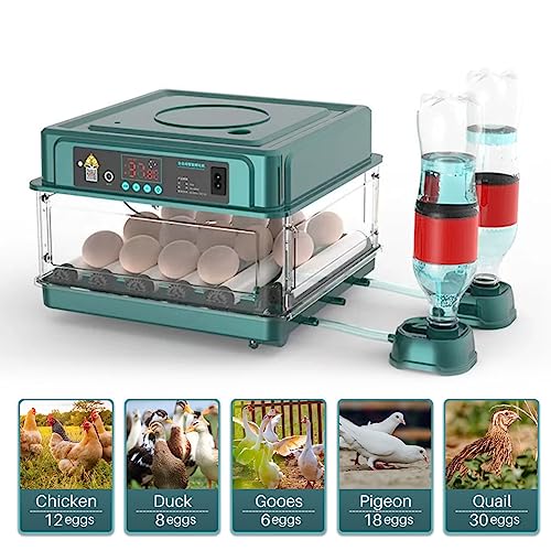 Automatic Egg Incubator 12-38 Egg Digital Poultry Hatcher Machine ith Automatic Egg Turning, Temperature & Humidity Control, Efficient LED Lighting for Chicken Geese Ducks Pigeons Quails (12 Eggs) - style: 12 Eggs