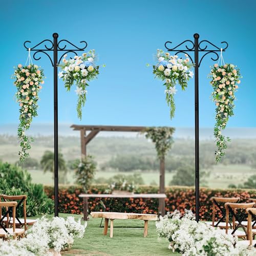 TORASO Double Shepherds Hooks for Outdoor,76.2" High Bird Feeder Pole,Black | Hummingbird Feeder Stand, Suitable for Wedding/Hanging Garden/Flower Basket/Lantern/Bird Nests - color: Black