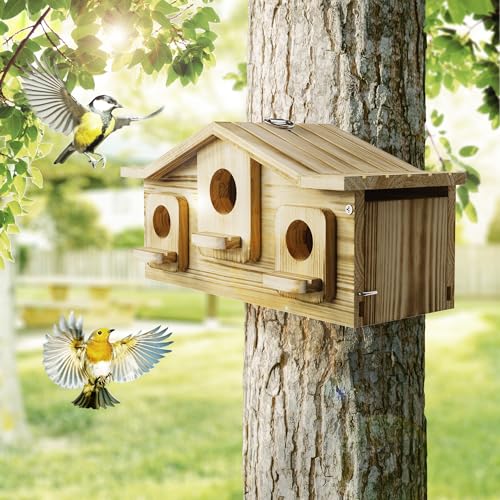 Auslar Bird House for Outside, 3 Hole Wooden Birdhouse for Outdoors Hanging | Bird Nesting Box for Bluebirds Cardinals Finches Wrens Swallows, Predator Guard, Perch & Hook, Garden Backyard Decor - style: Rectangular