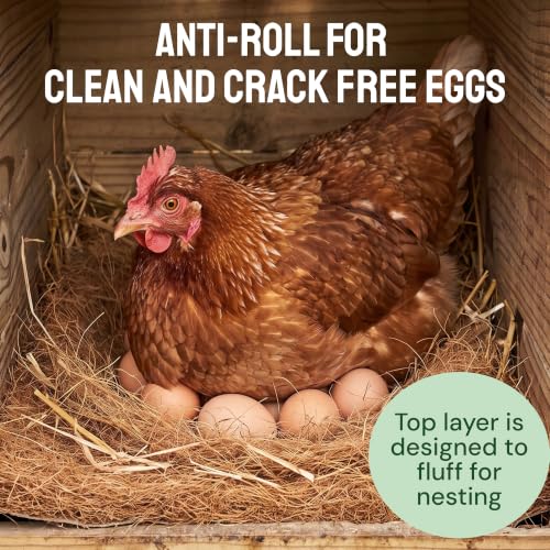 Hatortempt Chicken Nesting Pads for Chicken Coop, 13"x13" 10-Pack Bedding | Ammonia Absorbing Coconut Coir - Reduce Box Odors - Tear-Resistant Chicken Supplies - Trimmable Nest Liners for Laying Hens