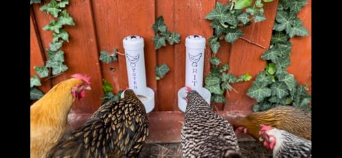 Chicken Oyster Shell Feeder and Grit Feeder Combo