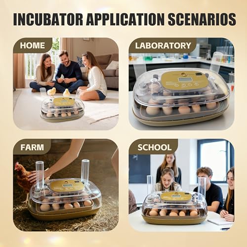 Syluris Incubators for Hatching Eggs, 24 Egg Incubator with Automatic Egg Turning and Humidity Control, Egg Candler, 360° Viewing, Chicken Incubators for Hatching Eggs, Quail Eggs, Duck Eggs Poultry