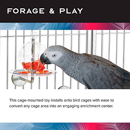 Featherland Paradise - Cage Mounted Buffet Ball - Interactive Bird Toy and Treat Dispenser - Creative Foraging Systems - Ideal for Medium to Extra Large Birds - style: Buffet Ball & Kabob