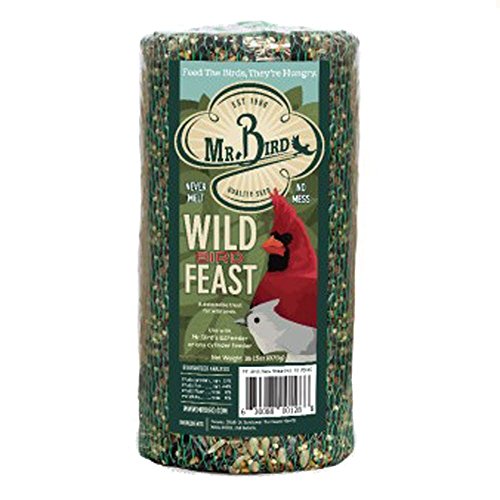 Mr. Bird WildBird Feast Cylinder, 1-Pack, 1 lb 15 oz | Wild Bird Seed for Outside Feeders | Premium Blend of Pecans, Sunflower Hearts & Millet | No Mess, No Melt - size: 1.94 Pound (Pack of 1)