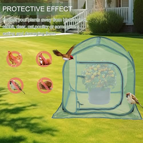 UV-Resistant Durable Pop Up Plant Covers & Garden Mesh Netting - Protective Bird Netting for Tomato & Crop Protection, Portable Pop-Up Mesh Plant Covers for Raised Beds