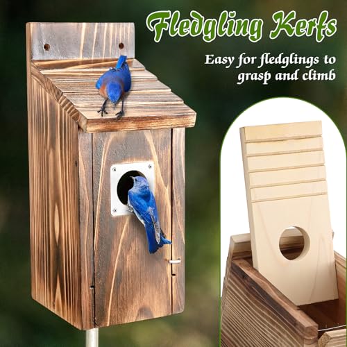 Dreyoo 2 Pack Bluebird Box Houses for Outside,1-1/2'' Entrance Hole Wooden Bird Houses with Metal Guard, Secure Latch,Fledgling Grooves,Air Vents for Bluebird Wren Swallow(Burnt Wood) - color: Burnt Wood