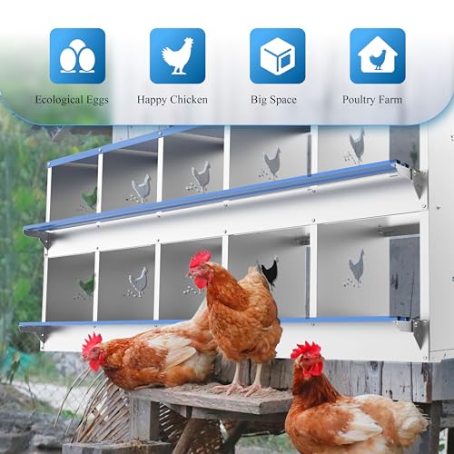 10 Compartments Chicken Nesting Box Laying Boxes for Chicken Hens Ducks Poultry Protect Eggs Chicken Coop Easy Egg Collection Wall Mount Metal Nest Box for Chicken Coop - size: 10 Compartments