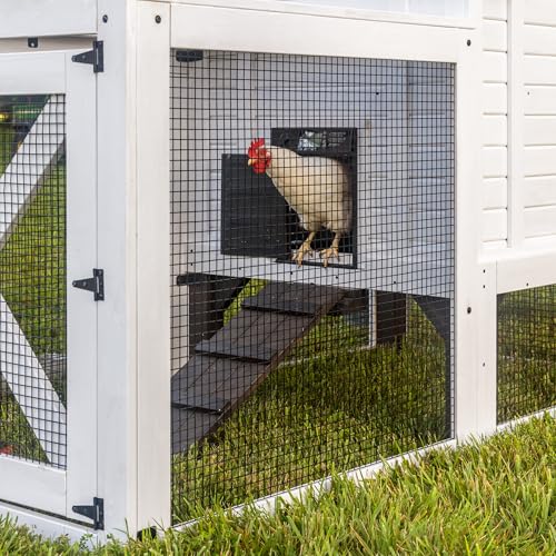 Backyard Discovery Sweetwater Cedar Wooden Chicken Coop for 4-6 Chickens with Run, Nesting Box, Automatic Door, Roosting Bars, Galvanized Steel Roof, Wire Mesh Protection, Ramp, Rooster and Hen House