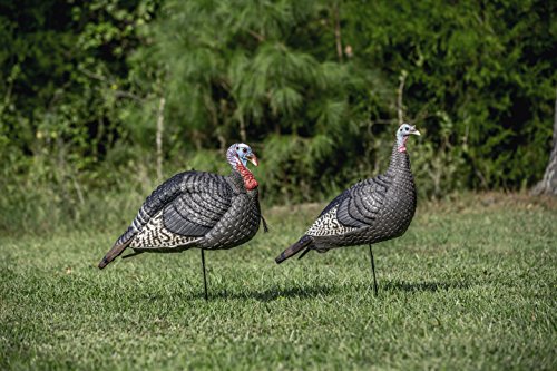 Hunters Specialties HS Strut Lite Jake & Feeding Hen Turkey Foldable Hollow Relaxed Body Realistic 2-Pack Couple Flock Combo Decoys