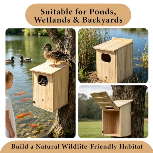 Wood Duck House, Sturdy Weather-Resistant Nesting Box and Shelter | 17x10x10 Inches, Weather-Resistant, for Ducks, Hooded Mergansers & Waterfowl, Ideal for Outdoor Ponds, Wetlands & Backyards