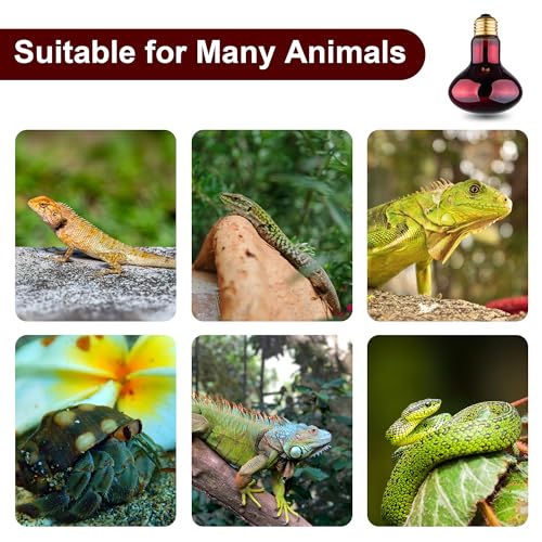 Reptile Heat Lamp Bulb, 100W Infrared Heat Light Bulbs, Red Basking Spot Lightbulb for Snake, Tortoise, Bearded Dragon, Lizard, Chicks, Turtle, Chickens, Pets - 2 Pack - size: Red