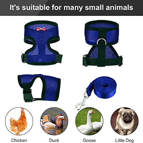 Chicken Harness (Medium, Blue) with Leash, Breathable, Adjustable, Comfortable for Chickens, Ducks, Geese, and Small Pets