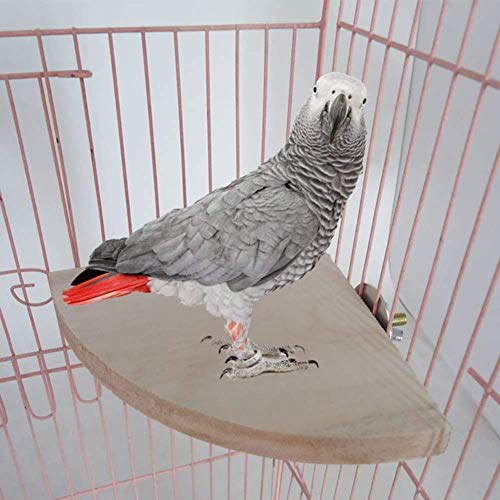 Litewoo Bird Parrot Corner Perch Flat Platform Stand, Easy to Install, Safe and Stable, Smooth Polishing Without Hurting Feet, Solid Hardwood Bird Cage Perches（L） - size: L: 6.69*6.69inch