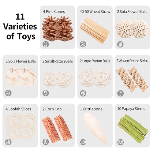 40 Pcs Bird Parrot Toys, Natural Bird Foraging Toy for Cockatiels, Lovebirds, Budgies, Small to Medium Parrot