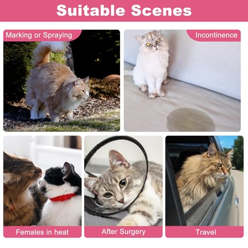 Disposable Cat Diapers, 40 Count – Perfect for Both Male and Female Cats, for Elderly, (S) Incontinent, or Post-Surgery Cats and Dog – Leak-Proof, Super Absorbent & Hypoallergenic Pet Diapers - size: S