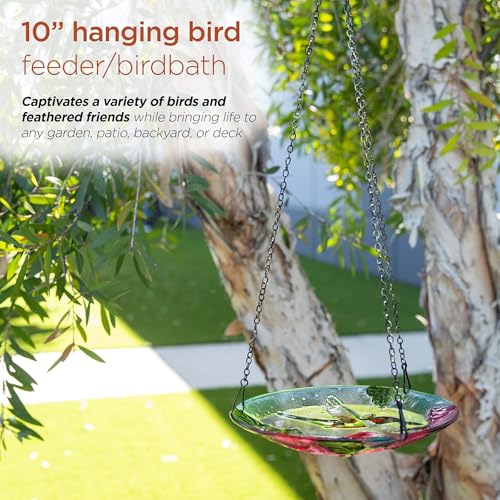 Alpine Corporation KBD150 Outdoor Hanging Glass Bird Feeder and Birdbath, Floral and Hummingbird Design with Chain, 10" W, Red/Green - style: Floral and Hummingbird