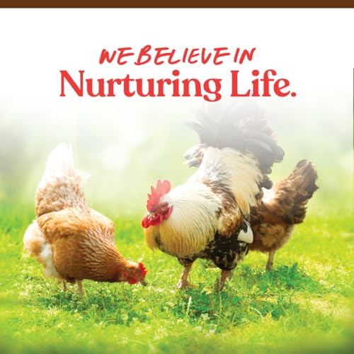 Manna Pro Harvest Delight Poultry Treat, Whole Grain & Seed Mix with Fruits & Vegetables, 14% Protein Snack for Chickens, Ducks & Mixed Flocks, 2.25 lb | Whole Grain & Seed Treat Mix, Fruits & Vegetables, 14% Protein Snack, For Chickens, Ducks & Mixed Flo