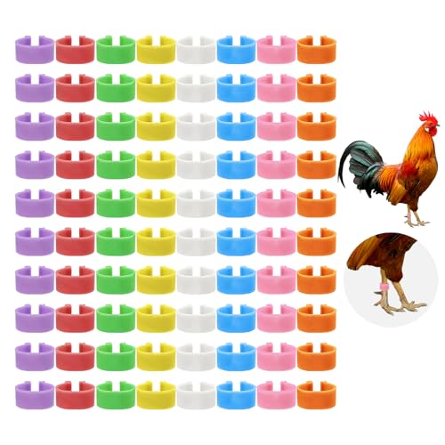 80 PCS Chicken Leg Bands,Chicken Tags for Legs with 8 Color,0.6in Colorful Snap-On Poultry Identification Rings for Chickens,Ducks,Quails,Pigeons - size: 80 PCS
