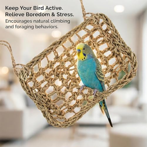 MAQIHAN Seagrass Mat for Birds - Bird Toys Seagrass 11.8x7.8 Inches | Bird Climbing Wall Seagrass Net Hammock Toy for Medium Parakeets Lovebirds Finch Budgerigars Conure Cockatiel with 2pcs twine