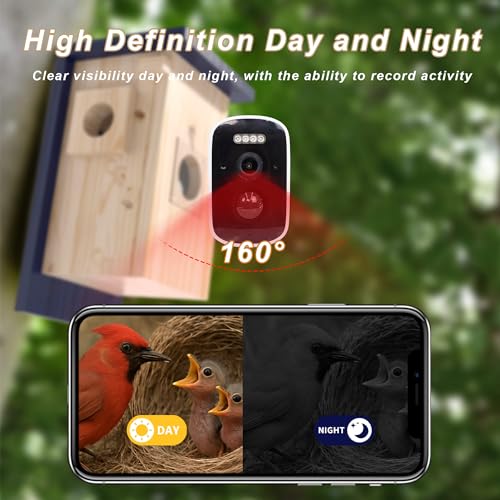 Birdhouse Camera – Solar Powered 1080P/2K HD Smart Nest Box, 2.4G WiFi Live View, Night Vision, Real-Time Bird Watching & Hatching, Outdoor Garden Bird Nest, Ideal Gift for Bird Lovers - style: Smart Birdhouse