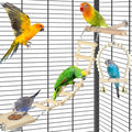 DBNESS 5in1 Bird Toys, Birdie Perches Platform Swing with Stainless Steel Feeding Cup Climbing Ladder, Wooden Play Gym for Cockatiels Lovebirds Budgies Pacific Parrotlets Finch Canaries