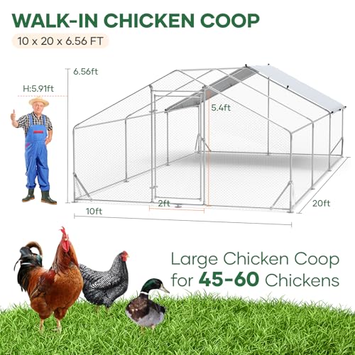 Large Chicken Coop Metal Chicken Runs for Yard 20x10x6.5 ft Chicken Coop with Cover Gallinero para Gallinas Heavy Duty Chicken Cage Rabbit Duck Quail Coop Lockable Door with Waterproof Anti-UV Cover - size: 240.0"L x 120.0"W x 78.0"H