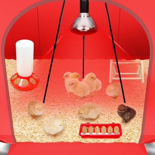 All-in-One Chicken Brooder Box for Chicks Starter Kit with Timer Heat Lamp & Stand, Perch, Sawdust, Feeder & Waterer, Large Sturdy Poultry Brooder for Up to 30 Baby Chicks, Ducks & Quail