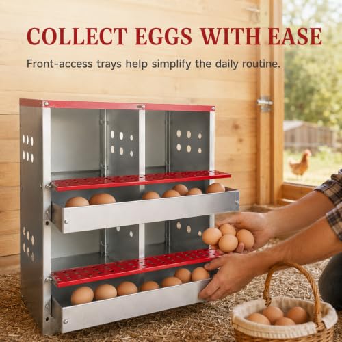 4-Compartment Roll Away Chicken Nesting Box for Hens, 21 Inch | Metal build, Egg collection tray, Perch, Protective lid, Wall mount, Freestanding setup, Ducks, Backyard coop, Barn supply - size: 16.3"L x 16.9"W x 24.4"H