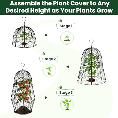 6 Pack Garden Cloche Plant Protectors from Animals, 13" x 11.8" Heavy Duty Chicken Wire Cloche, Adjustable Metal Wire Garden Cloches for Outdoor Plants, Keep Rabbits, Squirrels & Birds Away - size: 13" x 11.8"