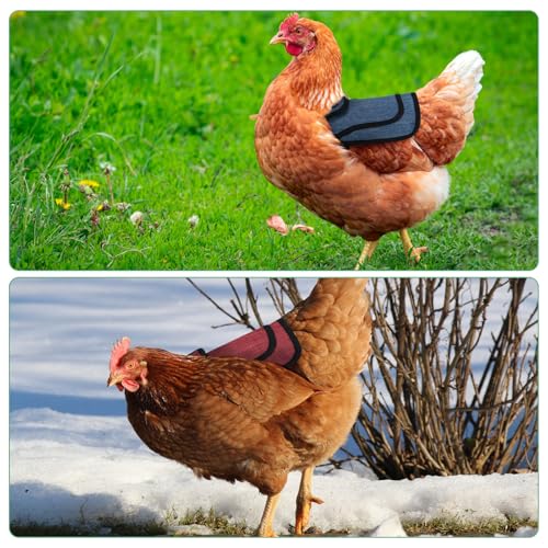 M METERXITY 4-Pack Premium Chicken Saddle, 25.4cm/10" Hens Saddle with Adjustable Strap Birds Feather Protector for Back and Sides Poultry Saver for Hens and Roosters [Red,Blue Each 2] - color: Red,Blue