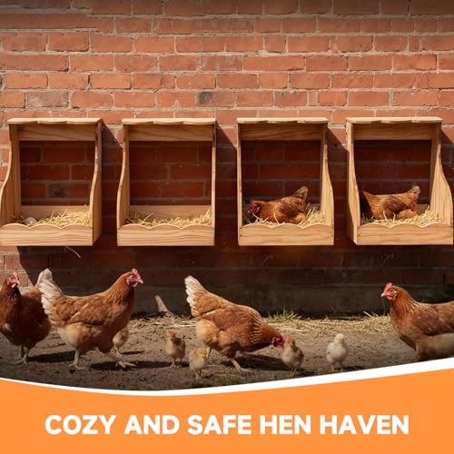 2 Pack Wooden Chicken Nesting Box for Laying Eggs, Hen Nesting Box Wall Mount for Chicken Coop, Versatile Use for Hens, Ducks, Chickens