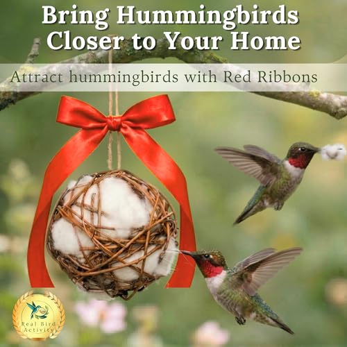 Bird Nesting Material Holder for Hummingbirds, 2 Refillable Balls with Natural Cotton Fibers for Wild Bird Houses, Outdoor Gift for Bird Lovers - color: 2 Balls Hummingbird Welcome Set