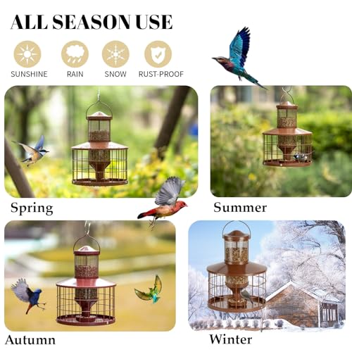Caged Bird Feeders Squirrel-Proof, Metal, 2.8 Lbs Capacity-Cage Tube Seed Feeders with Tray Outdoor Hanging, Attract Birds,Detachable Cleaning, Starling Proof Wild Bird Feeder（Brown） - color: Brown