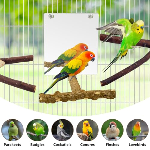 BNOSDM 5PCS Bird Perches Stand with Mirror Parrot Wood Stick Perches | Natural Forked Perch Branch Parakeet Toy Set Bird Cage Accessories for Budgie Cockatiel Conure Finch Lovebird