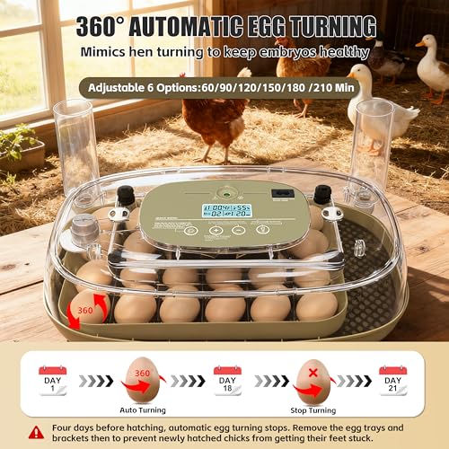 Syluris Incubators for Hatching Eggs, 24 Egg Incubator with Automatic Egg Turning and Humidity Control, Egg Candler, 360° Viewing, Chicken Incubators for Hatching Eggs, Quail Eggs, Duck Eggs Poultry