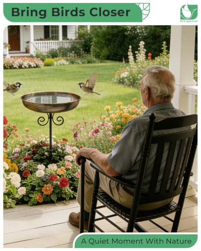 10" Small Metal Bird Bath with Stake, Outdoor Birdbath for Garden | 5-Prong Stake, Adjustable Height, Rust Resistant Finish, Easy Assembly, Shallow Bowl Design, Lawn Patio Decor - size: 10 "diameter, 1.6" depth