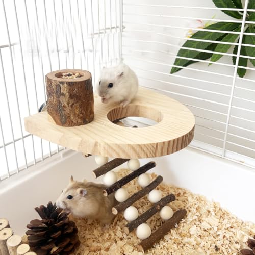 Climbing Toys for Hamster and Small Parrot, Natural Apple Wood Playing Toys | Cage Accessories for Guinea Pig, Gerbils, Chinchillas, Rats, Parakeets, Conures, Syrian, Bird, Mice