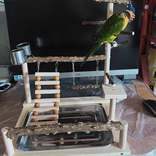 Bird Playground with Feeder Cups, Wooden Parrot Play Stand for Cockatiel, Parakeet
